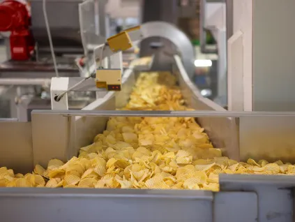 FoodSafe 002 v2